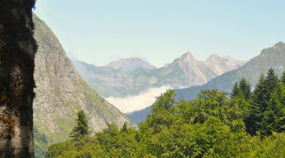 decouvrir-plateau-benou